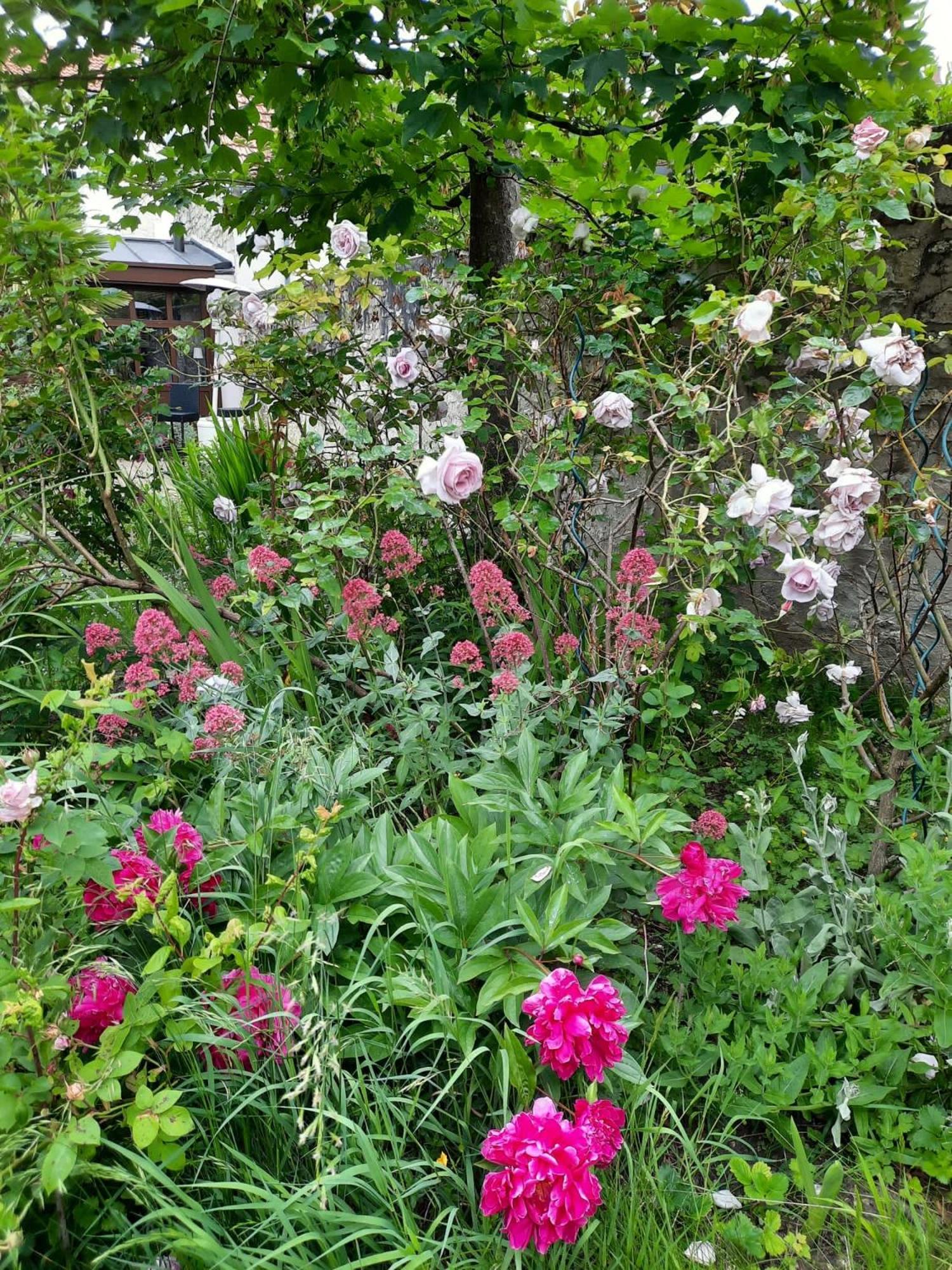 Bed and Breakfast Pierres Et Jardins Senlis  Exteriér fotografie